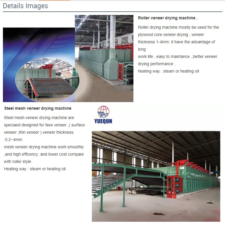 Plywood Veneer Dryer Roller Drying Line for Plywood Core Veneer / Wood Core Veneer Drying Line